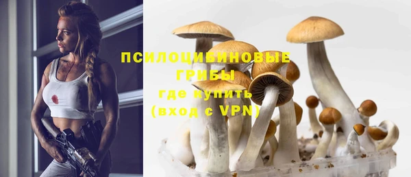 первитин Липки