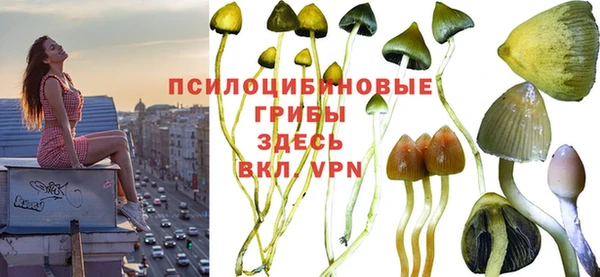 ALPHA PVP Домодедово